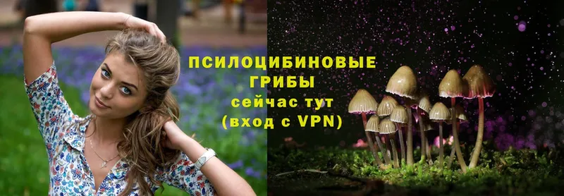 Псилоцибиновые грибы Magic Shrooms  продажа наркотиков  Бабаево 